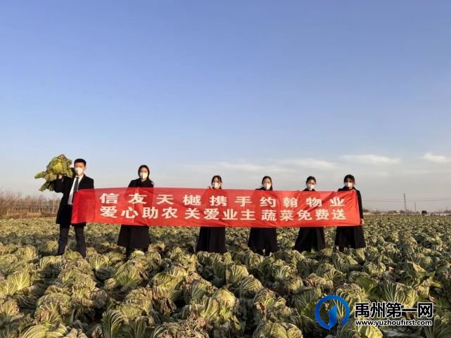 “蔬菜滞销,爱心助农,关爱业主”信友禹州在行动 “蔬菜滞销,爱心助农,关爱业主”信友禹州在行动