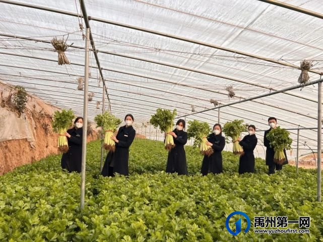 “蔬菜滞销,爱心助农,关爱业主”信友禹州在行动 “蔬菜滞销,爱心助农,关爱业主”信友禹州在行动