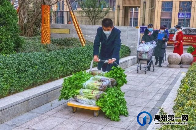 “蔬菜滞销,爱心助农,关爱业主”信友禹州在行动 “蔬菜滞销,爱心助农,关爱业主”信友禹州在行动