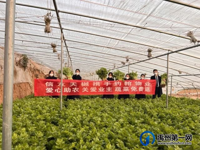 “蔬菜滞销,爱心助农,关爱业主”信友禹州在行动 “蔬菜滞销,爱心助农,关爱业主”信友禹州在行动