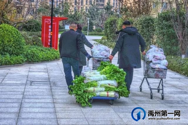 “蔬菜滞销,爱心助农,关爱业主”信友禹州在行动 “蔬菜滞销,爱心助农,关爱业主”信友禹州在行动