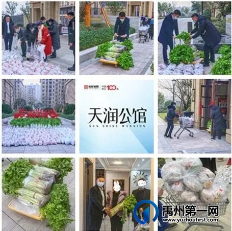 “蔬菜滞销,爱心助农,关爱业主”信友禹州在行动 “蔬菜滞销,爱心助农,关爱业主”信友禹州在行动