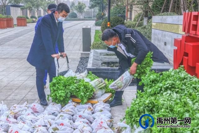 “蔬菜滞销,爱心助农,关爱业主”信友禹州在行动 “蔬菜滞销,爱心助农,关爱业主”信友禹州在行动