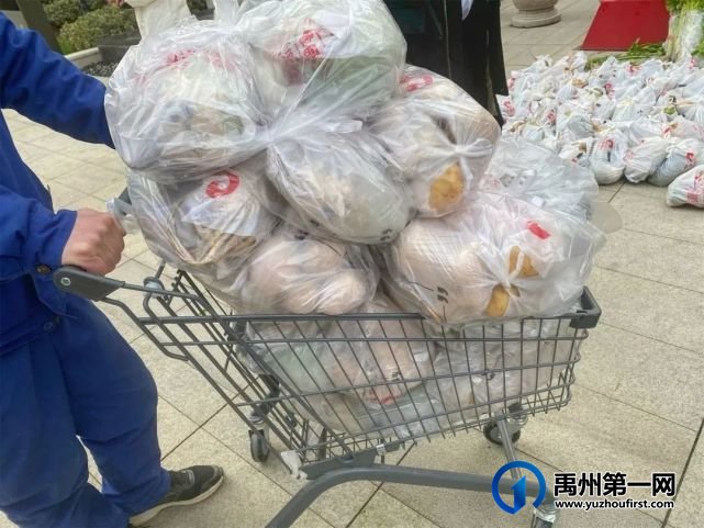 “蔬菜滞销,爱心助农,关爱业主”信友禹州在行动 “蔬菜滞销,爱心助农,关爱业主”信友禹州在行动