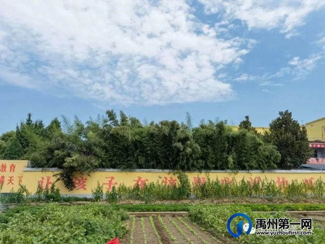 禹州市春蕾学校2023年春招生招教报名开始啦! 禹州市春蕾学校2023年春招生招教报名开始啦!