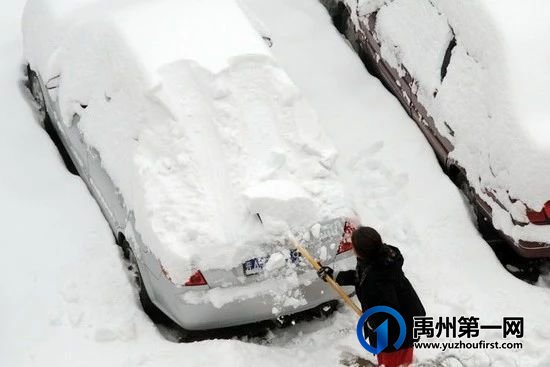 冷冷冷 雨雪上线!禹州交警提醒您注意行车安全! 冷冷冷 雨雪上线!禹州交警提醒您注意行车安全!