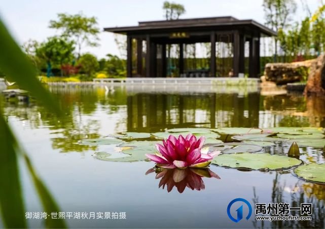 潮玩元宵戏曲横生 御湖湾世熙邀请你来看 【开年大戏】 潮玩元宵戏曲横生 御湖湾世熙邀请你来看 【开年大戏】