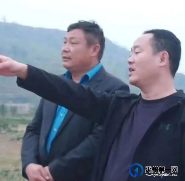 禹州乡村振兴的践行者脱贫致富的引路人 禹州乡村振兴的践行者脱贫致富的引路人
