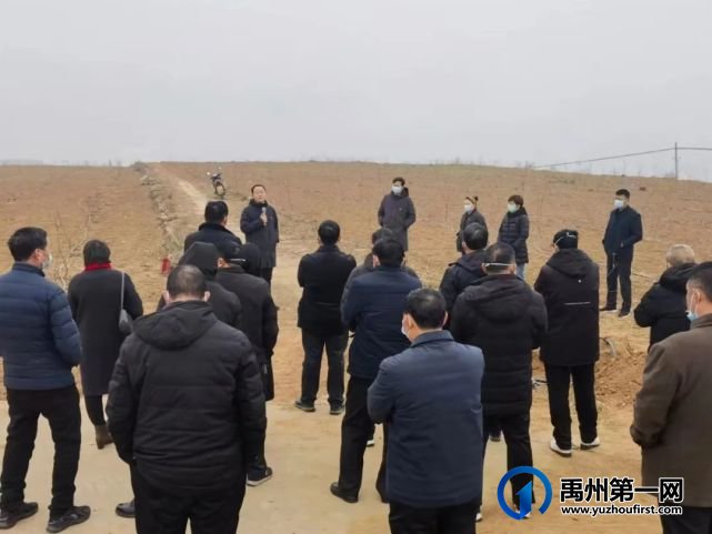 禹州乡村振兴的践行者脱贫致富的引路人 禹州乡村振兴的践行者脱贫致富的引路人