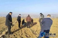禹州乡村振兴的践行者脱贫致富的引路人