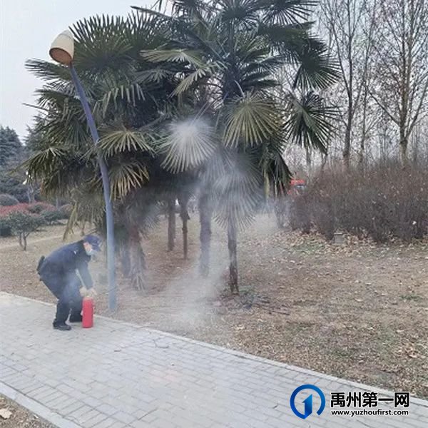 禹州公园树木起火,民警快速扑灭除隐患 禹州公园树木起火,民警快速扑灭除隐患