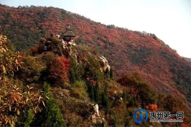 禹州这片石头厉害了…… 禹州这片石头厉害了……