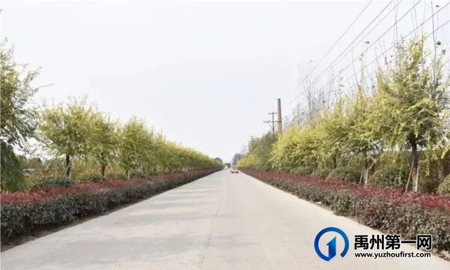 最新发布!禹州这些地方上榜 最新发布!禹州这些地方上榜