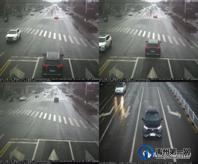 禹州斑马线前不礼让行人?曝光!(第五十五期) 禹州斑马线前不礼让行人?曝光!(第五十五期)