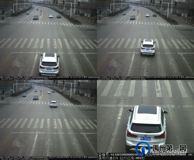 禹州斑马线前不礼让行人?曝光!(第五十五期) 禹州斑马线前不礼让行人?曝光!(第五十五期)