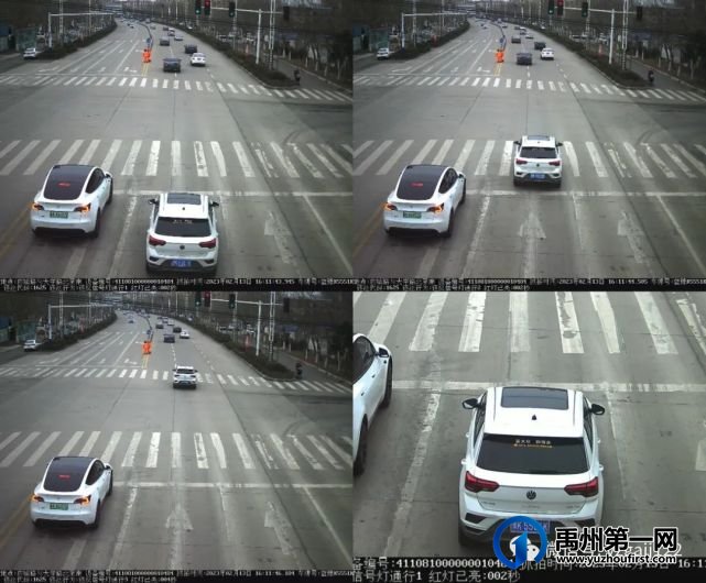 禹州斑马线前不礼让行人?曝光!(第五十五期) 禹州斑马线前不礼让行人?曝光!(第五十五期)