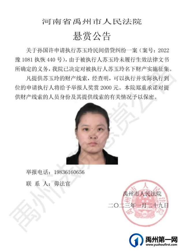 禹州法院决定对17人实施司法拘留、征集财产线索