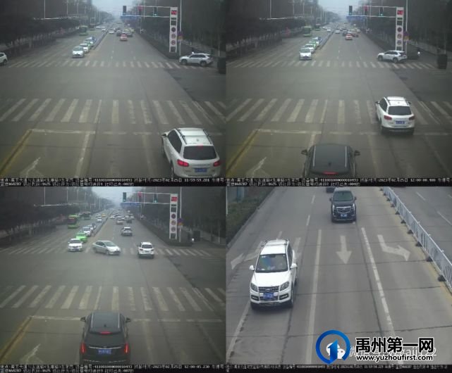 禹州19辆车被曝光 禹州19辆车被曝光