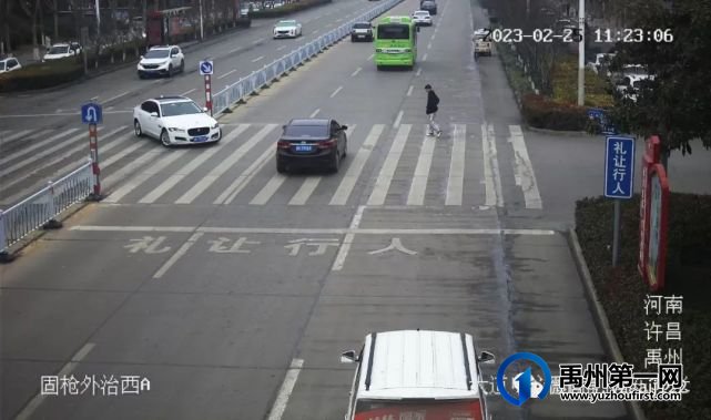 禹州19辆车被曝光 禹州19辆车被曝光