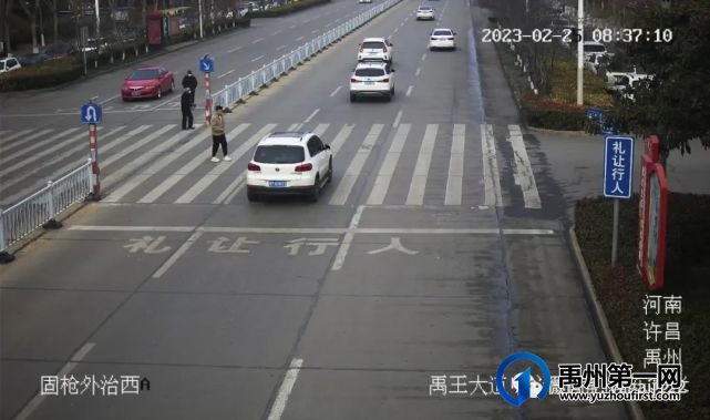 禹州19辆车被曝光 禹州19辆车被曝光