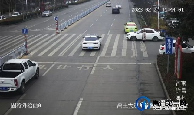 禹州19辆车被曝光 禹州19辆车被曝光