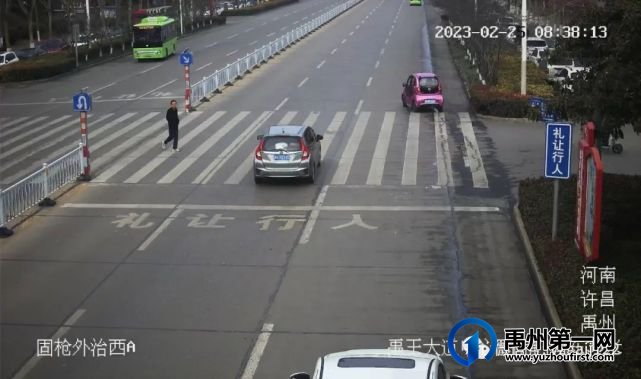 禹州19辆车被曝光 禹州19辆车被曝光