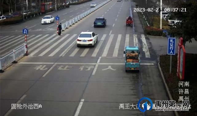 禹州19辆车被曝光 禹州19辆车被曝光
