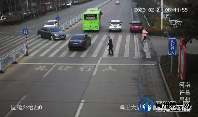 禹州19辆车被曝光 禹州19辆车被曝光