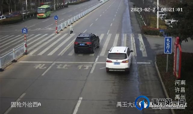 禹州19辆车被曝光 禹州19辆车被曝光