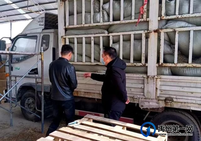 为马“口粮”对簿公堂,禹州法庭现场办公了却纷争 为马“口粮”对簿公堂,禹州法庭现场办公了却纷争