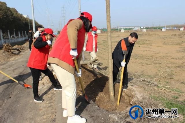 禹州环卫:春日晴方好 植树正当时 禹州环卫:春日晴方好 植树正当时