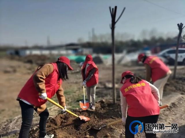 禹州环卫:春日晴方好 植树正当时 禹州环卫:春日晴方好 植树正当时