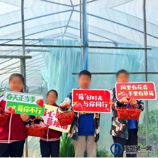 禹州信友天樾感恩老业主草莓采摘活动温暖落幕! 禹州信友天樾感恩老业主草莓采摘活动温暖落幕!