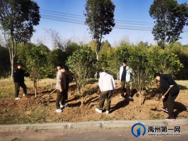 禹州中专开展“绿化美化校园”提质专项行动 禹州中专开展“绿化美化校园”提质专项行动
