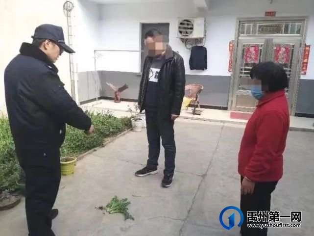 禹州钧台中心派出所:民警入户走访 意外发现罂粟幼苗 禹州钧台中心派出所:民警入户走访 意外发现罂粟幼苗