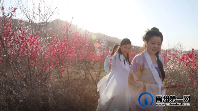 禹州方岗桃花文化旅游节将于3月18日浪漫开启! 禹州方岗桃花文化旅游节将于3月18日浪漫开启!