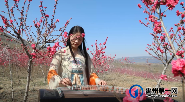 禹州方岗桃花文化旅游节将于3月18日浪漫开启! 禹州方岗桃花文化旅游节将于3月18日浪漫开启!