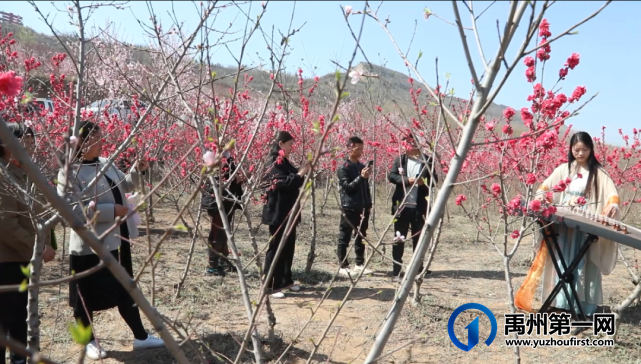 禹州方岗桃花文化旅游节将于3月18日浪漫开启! 禹州方岗桃花文化旅游节将于3月18日浪漫开启!