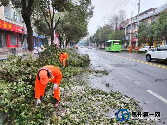 禹州环卫:昼夜作战不停歇 全力清除“桃花雪” 禹州环卫:昼夜作战不停歇 全力清除“桃花雪”