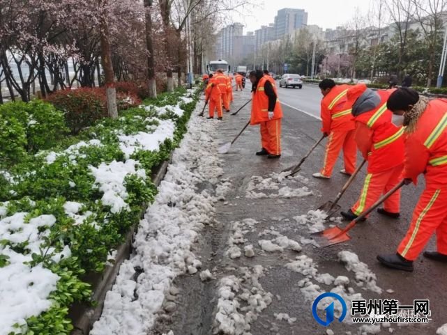 禹州环卫:昼夜作战不停歇 全力清除“桃花雪” 禹州环卫:昼夜作战不停歇 全力清除“桃花雪”