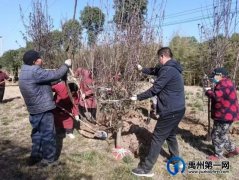 禹州中专开展“绿化美化校园”提质专项行动