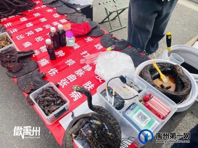 走,一起去逛禹州狗市! 走,一起去逛禹州狗市!