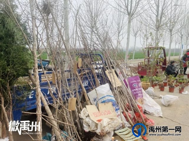 走,一起去逛禹州狗市! 走,一起去逛禹州狗市!