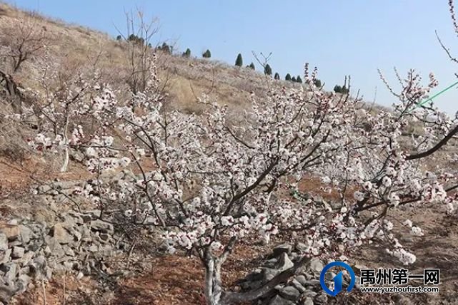 禹州鸠山美“出圈”!国家“点名”,获评精品 禹州鸠山美“出圈”!国家“点名”,获评精品