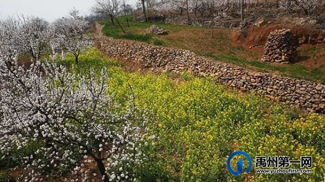 禹州鸠山美“出圈”!国家“点名”,获评精品 禹州鸠山美“出圈”!国家“点名”,获评精品