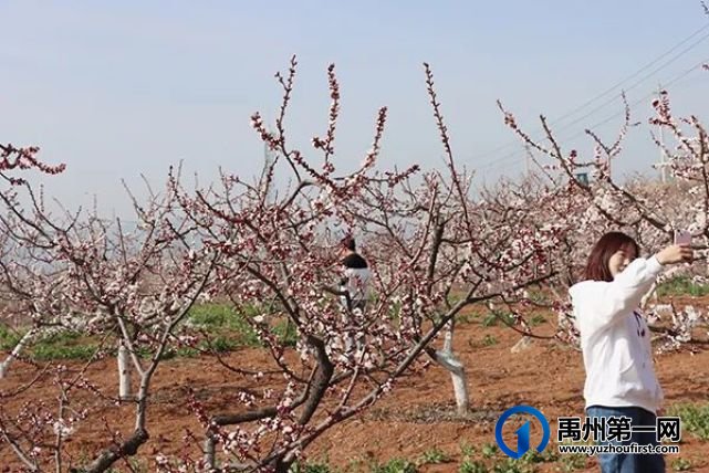 禹州鸠山美“出圈”!国家“点名”,获评精品 禹州鸠山美“出圈”!国家“点名”,获评精品