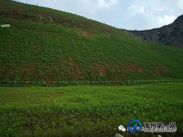禹州市成磊建材有限公司加大“绿色矿山”创建力度 禹州市成磊建材有限公司加大“绿色矿山”创建力度