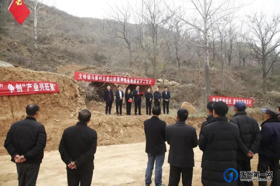 禹州市文殊镇:荒山种果树 吐绿又生金 禹州市文殊镇:荒山种果树 吐绿又生金