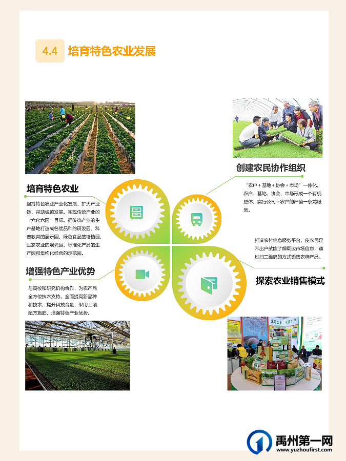 草案公示!官宣禹州发展之路,未来可期 草案公示!官宣禹州发展之路,未来可期