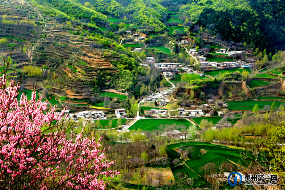 4月20日开幕!鸠山镇第六届槐花文化旅游节邀您前往 4月20日开幕!鸠山镇第六届槐花文化旅游节邀您前往